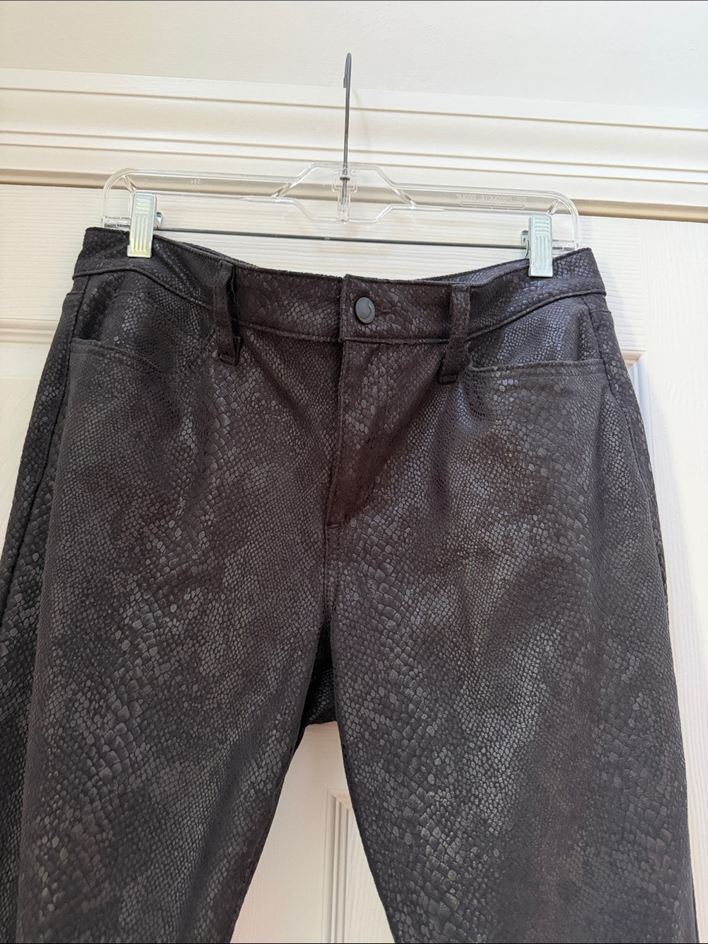 Joes Python Pants - Picture 3 of 10